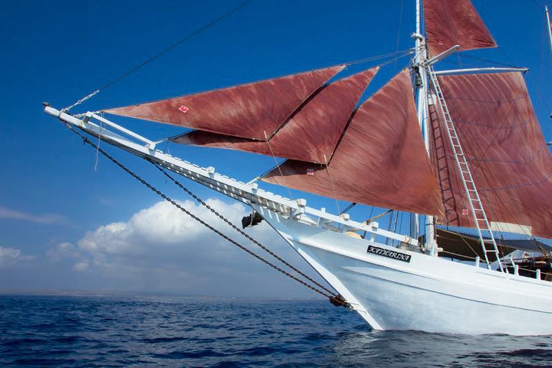 Katharina Liveaboard, Indonesia snorkeling and discovery trips