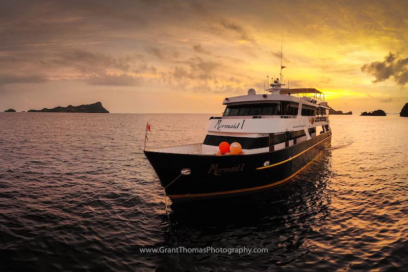 Mermaid 1 Liveaboard, Raja Ampat And Komodo - Premier Liveaboard Diving