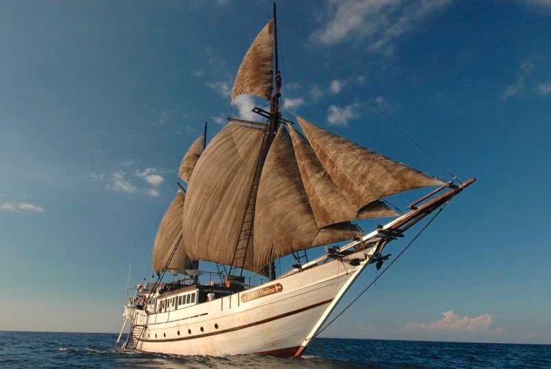 Ondina Liveaboard, Raja Ampat and Komodo - Premier Liveaboard Diving